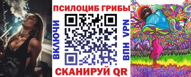 Купить где  Астрахань  Псилоцибиновые грибы мицелий 